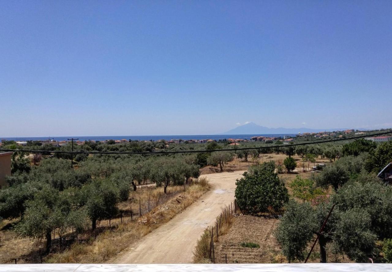 Olive Grove House Apartment Limenaria  Exterior photo